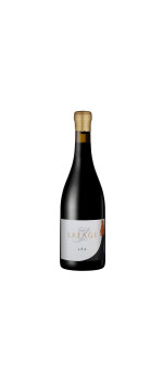 Côtes du Roussillon...